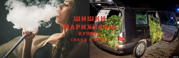 прущие грибы Абинск