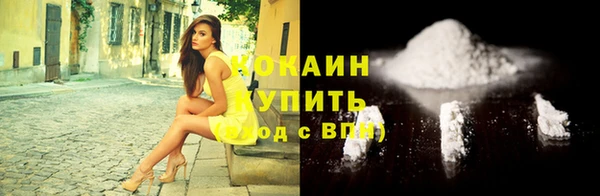 прущие грибы Абинск