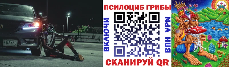hydra ONION  Приволжск  Галлюциногенные грибы прущие грибы 